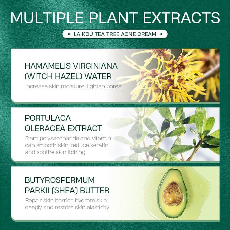 image-Tea Tree Anti Acne Face Cream 20g Moisturizing Skin Care Product