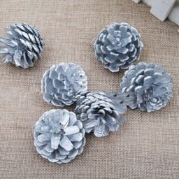image-Christmas Supplies Pendant Natural Decoration Pine Cones