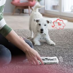 image-Squeaky Pet Dog Toy Newspaper Chew Training Toys