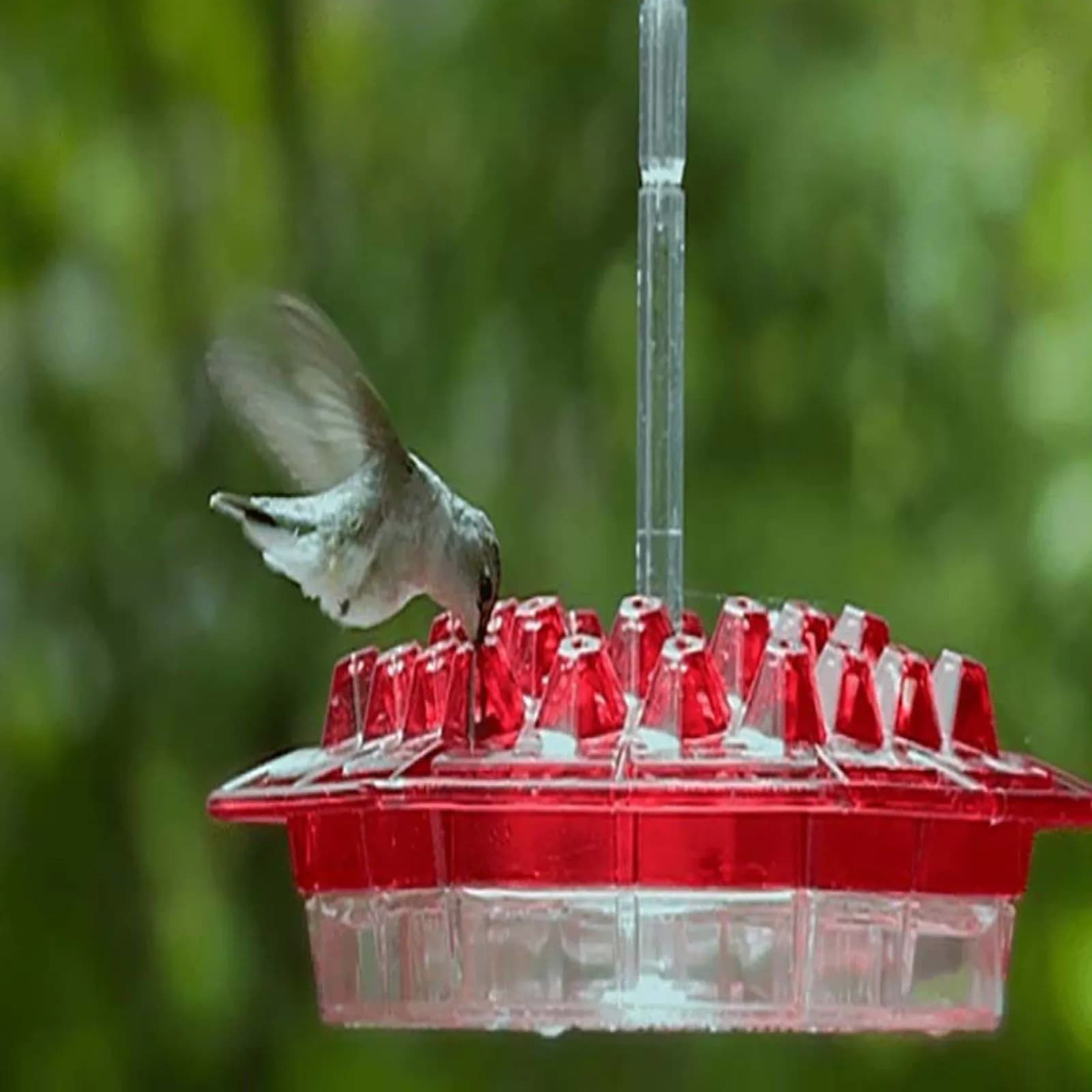 image-Hummingbird Feeder Hummingbird Bird Feeder Hanging Red Bird Feeder Hexagon Bird Feeder
