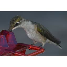 image-Hummingbird Feeder Hummingbird Bird Feeder Hanging Red Bird Feeder Hexagon Bird Feeder