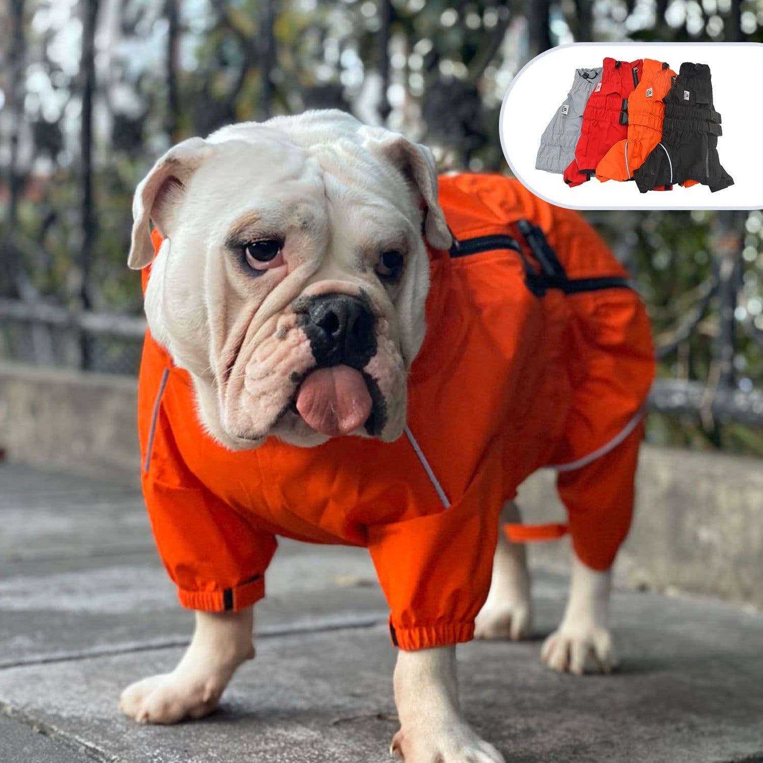 image-Pet Four-legged Dog Outdoor Clothing Raincoat