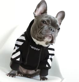 image-Corgi Schnauzer pet fashion brand three-stripe dog sweater spoof autumn and winter sports dog clothes