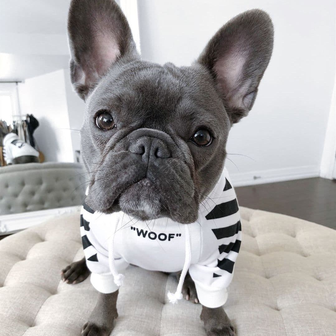image-Corgi Schnauzer pet fashion brand three-stripe dog sweater spoof autumn and winter sports dog clothes