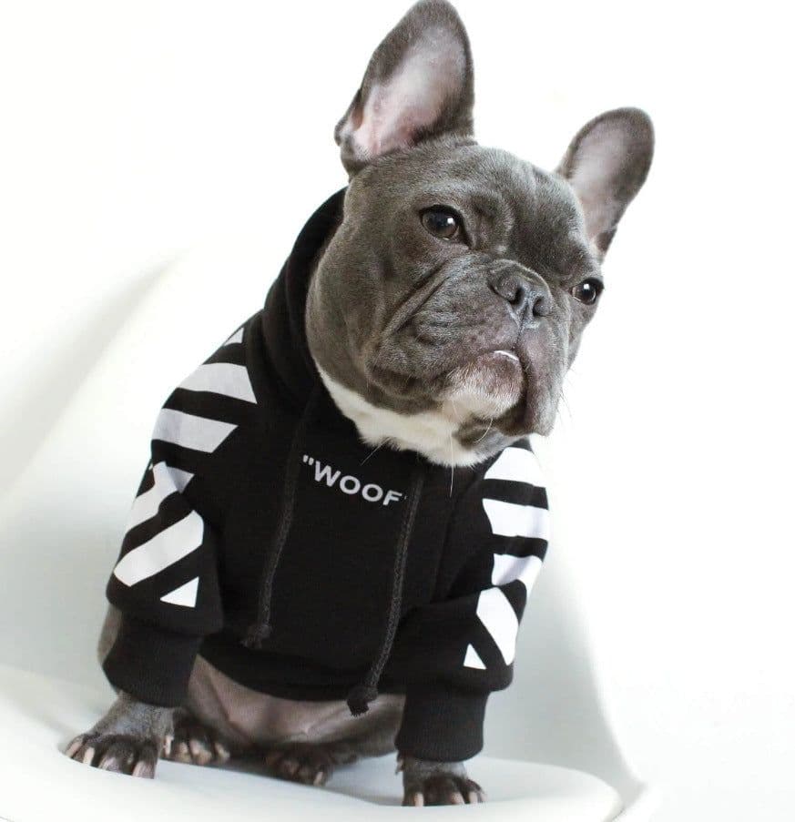 image-Corgi Schnauzer pet fashion brand three-stripe dog sweater spoof autumn and winter sports dog clothes