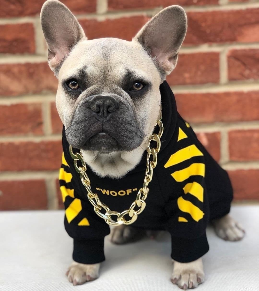 image-Corgi Schnauzer pet fashion brand three-stripe dog sweater spoof autumn and winter sports dog clothes