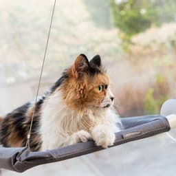 image-Hanging Cat Hammock Catlax InnovaGoods