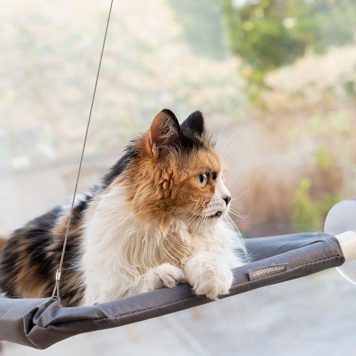 image-Hanging Cat Hammock Catlax InnovaGoods