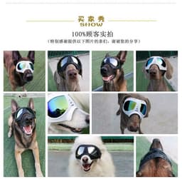 image-New pet mask glasses waterproof and snow-proof soft frame goggles dog supplies sunglasses sunglasses manufacturers