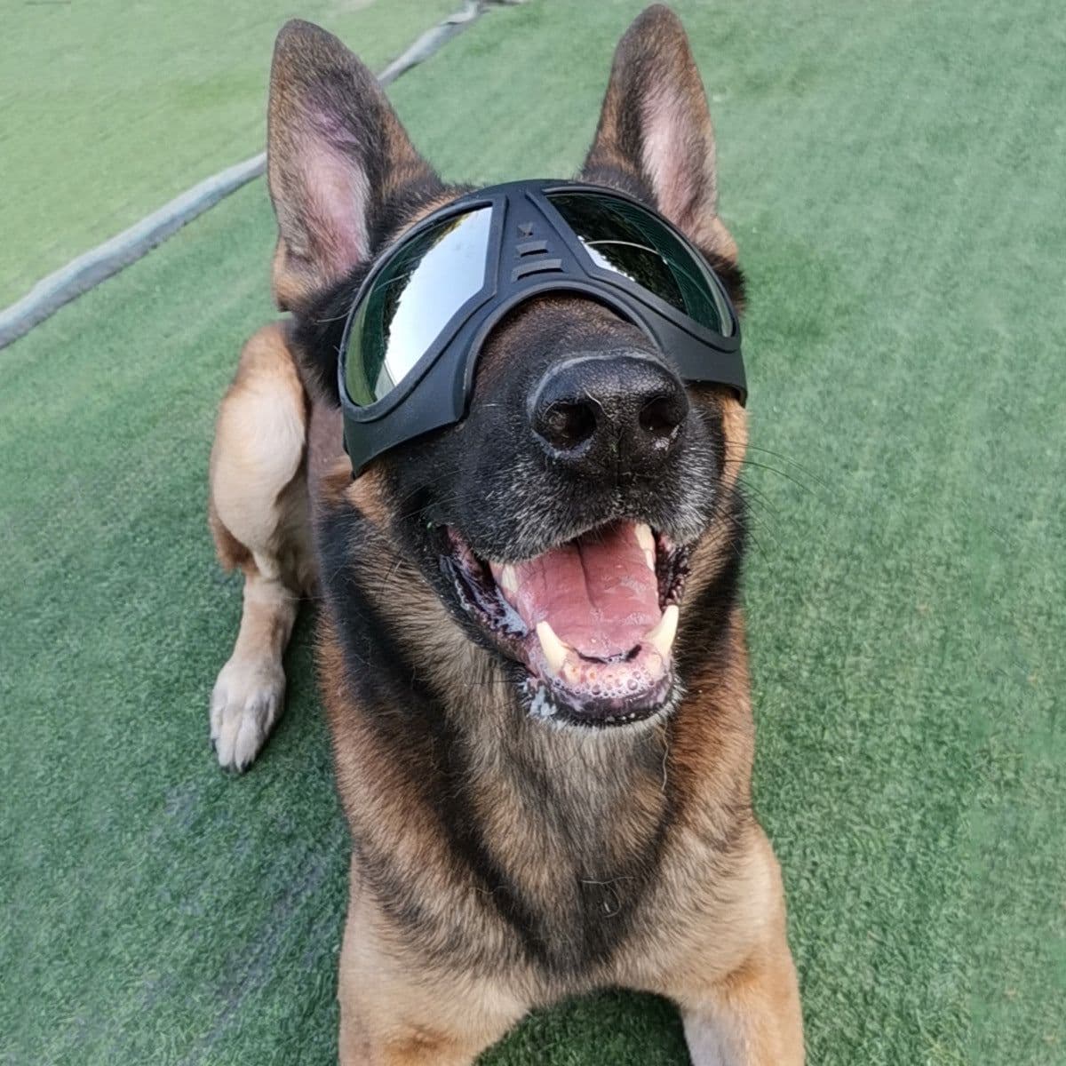 image-New pet mask glasses waterproof and snow-proof soft frame goggles dog supplies sunglasses sunglasses manufacturers