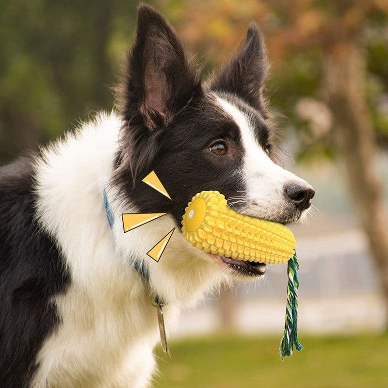 image-Dog toy tpr bite-resistant simulation sound corn bites dog toy molar stick rope knot Amazon explosion