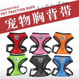 image-Explosion-proof pet harness Explosion-proof punching pet supplies mesh chest harness Fashionable hamster leash set wholesale