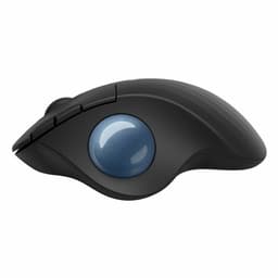 image-Mouse Logitech 910-006221 2000 dpi