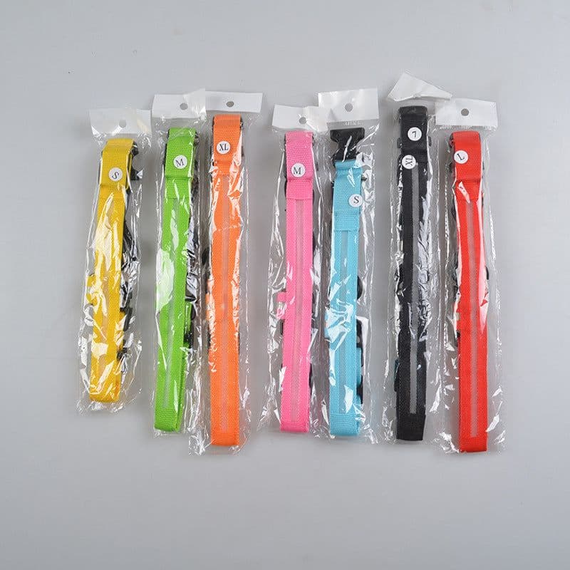 image-Manufacturers wholesale dog Teddy pet LED collars, night flashing dog walking collars, pet supplies on behalf of