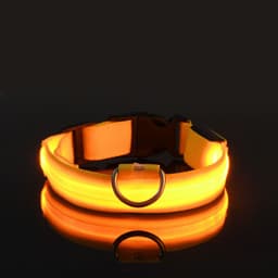 image-Manufacturers wholesale dog Teddy pet LED collars, night flashing dog walking collars, pet supplies on behalf of