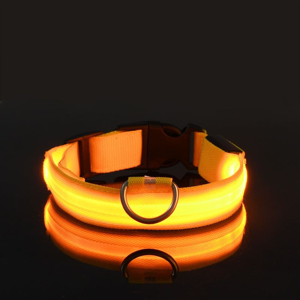 image-Manufacturers wholesale dog Teddy pet LED collars, night flashing dog walking collars, pet supplies on behalf of