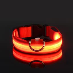 image-Manufacturers wholesale dog Teddy pet LED collars, night flashing dog walking collars, pet supplies on behalf of