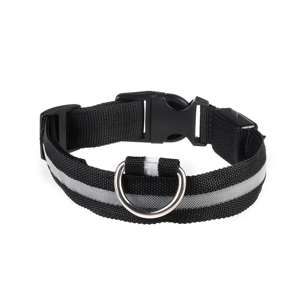 image-Manufacturers wholesale dog Teddy pet LED collars, night flashing dog walking collars, pet supplies on behalf of
