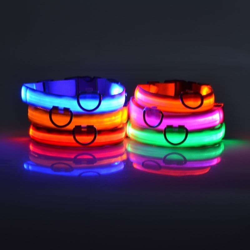 image-Manufacturers wholesale dog Teddy pet LED collars, night flashing dog walking collars, pet supplies on behalf of