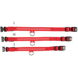 image-Manufacturers wholesale dog Teddy pet LED collars, night flashing dog walking collars, pet supplies on behalf of
