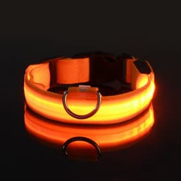 image-Manufacturers wholesale dog Teddy pet LED collars, night flashing dog walking collars, pet supplies on behalf of