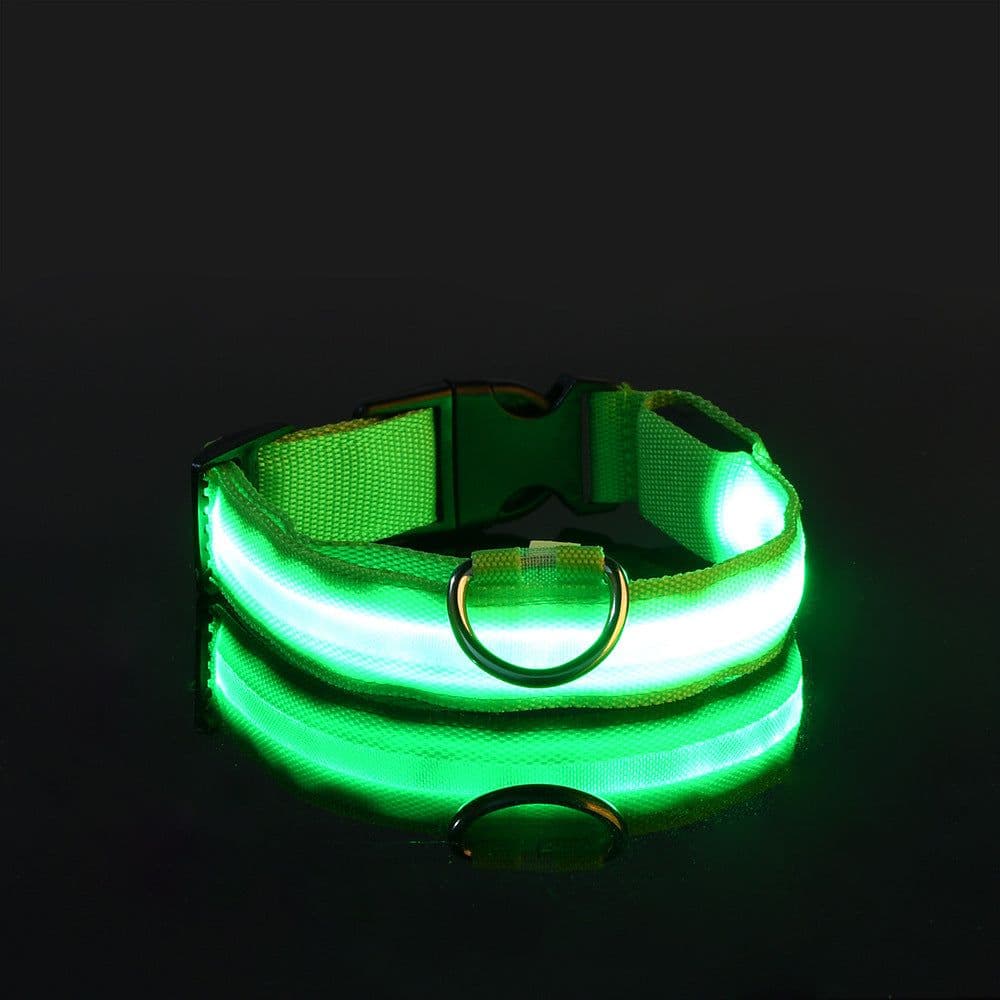 image-Manufacturers wholesale dog Teddy pet LED collars, night flashing dog walking collars, pet supplies on behalf of
