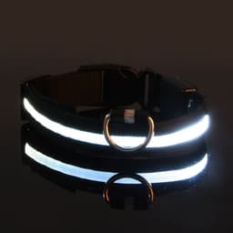 image-Manufacturers wholesale dog Teddy pet LED collars, night flashing dog walking collars, pet supplies on behalf of