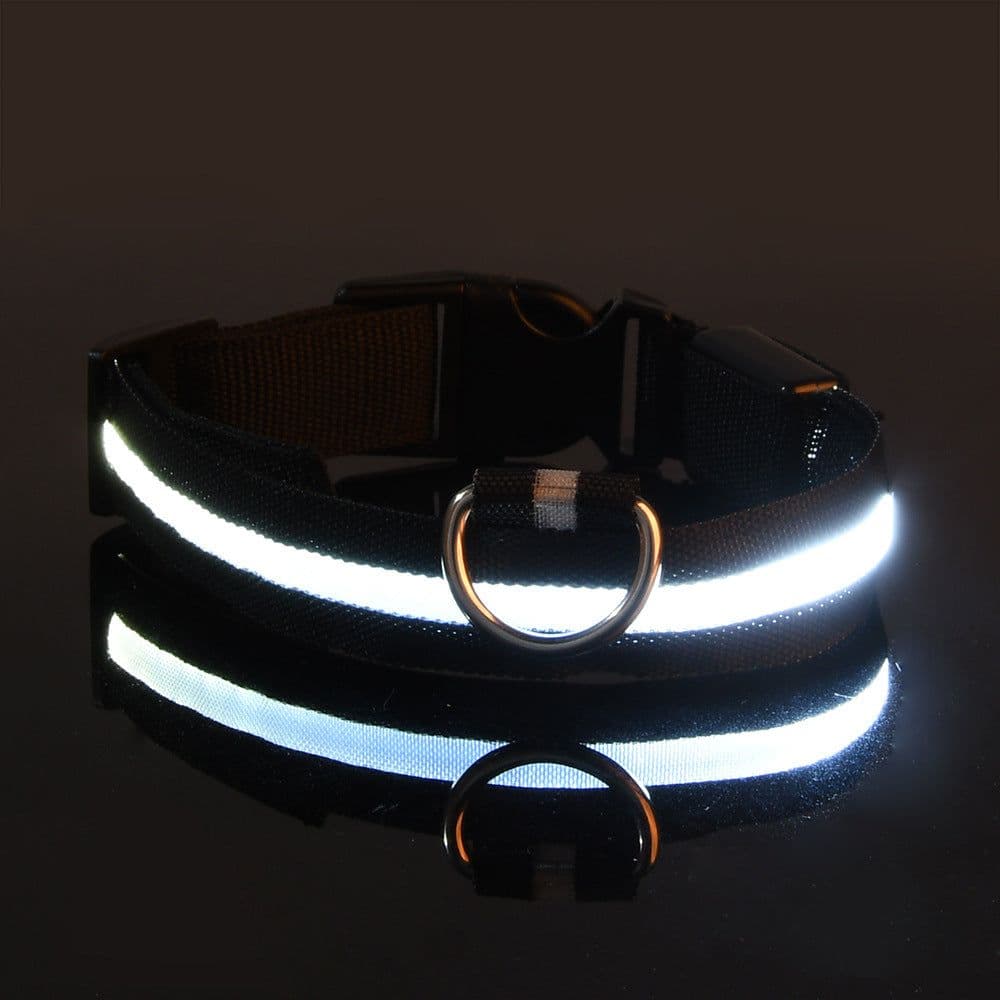 image-Manufacturers wholesale dog Teddy pet LED collars, night flashing dog walking collars, pet supplies on behalf of