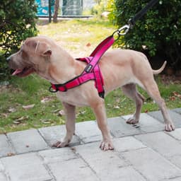 image-Foreign trade pet dog chest strap large, medium and small pet vest traction belt outdoor sports chest strap pet supplies