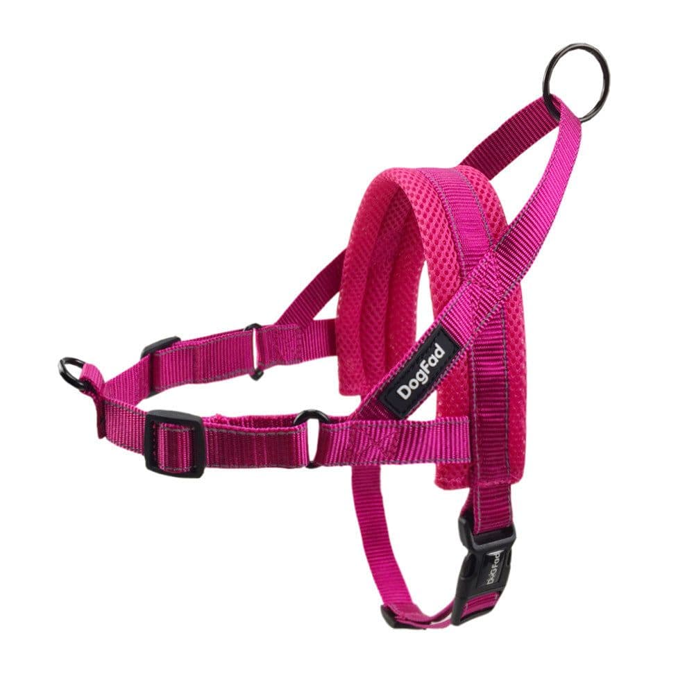 image-Foreign trade pet dog chest strap large, medium and small pet vest traction belt outdoor sports chest strap pet supplies