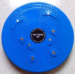 image-Direct-sale Twisted Waist Twist Machine Fitness Equipment Stepper Magnetic Waist Twister Gift With Color Box