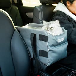 image-Paipai cat new car cat bag go out portable car central control cat litter pet supplies