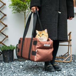 image-Paipai cat new car cat bag go out portable car central control cat litter pet supplies