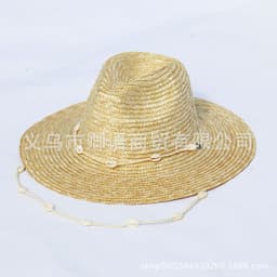 image-2022 new shell necklace straw hat Amazon ebay, new foreign trade wish