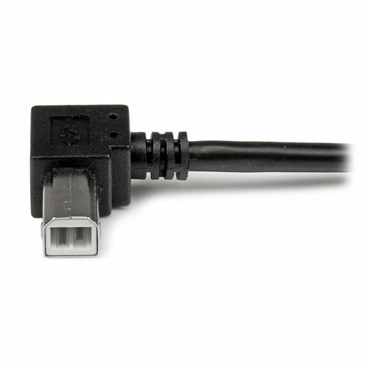 image-USB A to USB B Cable Startech USBAB2MR Black
