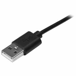 image-Cable USB C Startech USB2AC4M 4 m Black