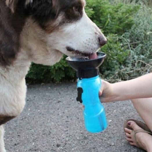 image-Portable Water Bottle Drinker For Pet Dogs