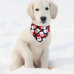 image-Christmas Pet Saliva Towel Amazon Hot Sale Dog Triangle Scarf Cat Decoration Scarf