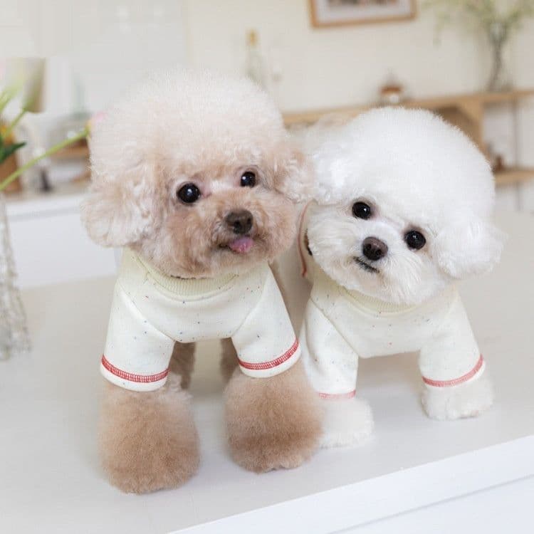 image-Autumn And Winter Home Warm VIP Teddy Pet Brushed Hoody