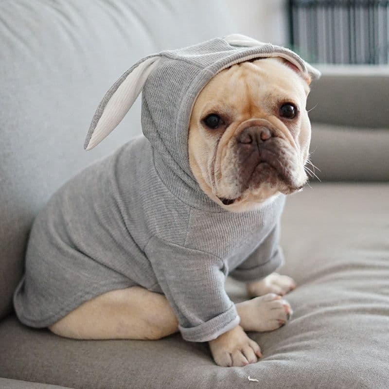 image-Dog Pet Clothes Spring And Autumn Clothing