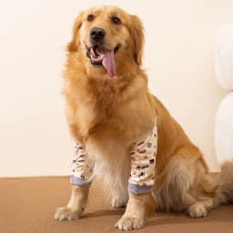 image-Dogs Knee Protector Pad For Calluses, Dog Knee Brace, Front Elbow Support Wrap, Dog Sleeves For Wounds Dog Elbow Callus Treatment For Medium Large Dogs With Scarf