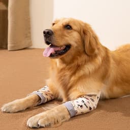 image-Dogs Knee Protector Pad For Calluses, Dog Knee Brace, Front Elbow Support Wrap, Dog Sleeves For Wounds Dog Elbow Callus Treatment For Medium Large Dogs With Scarf