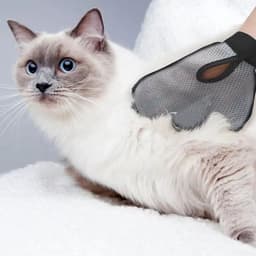 image-Cat Hair Removal Glove Pet Supplies Bath Massage Jerking Gloves Cat Dog Massage Bathing Cleaning Grooming Supplies Silicone Hair Sticking Removal Brush