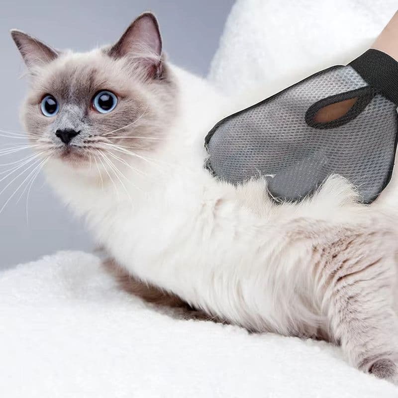 image-Cat Hair Removal Glove Pet Supplies Bath Massage Jerking Gloves Cat Dog Massage Bathing Cleaning Grooming Supplies Silicone Hair Sticking Removal Brush