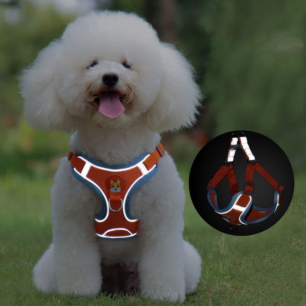 image-New Dog Leash And Harness Set Pet Dog Harness And Leash Set Adjustable Puppy Cat Harness Vest Reflective Walking No Pull Lead Leash For Small Dogs Chihuahua