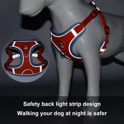 image-New Dog Leash And Harness Set Pet Dog Harness And Leash Set Adjustable Puppy Cat Harness Vest Reflective Walking No Pull Lead Leash For Small Dogs Chihuahua