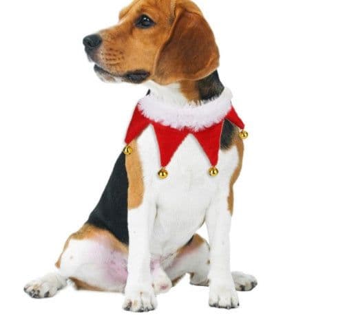 image-Cute Dog Cat Costume Christmas Cloak Halloween Disguise Cat