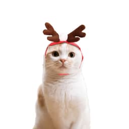 image-Cute Dog Cat Costume Christmas Cloak Halloween Disguise Cat