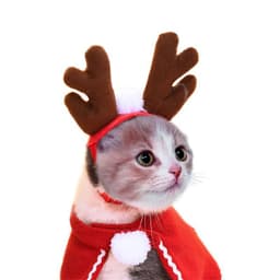 image-Cute Dog Cat Costume Christmas Cloak Halloween Disguise Cat