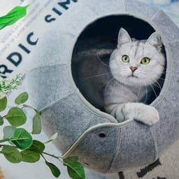 image-Cat Tunnel Toy Foldable Cat Tube Indoor Cat Cave Bed Multi-Function Pet Toy For Puppy Dogs Cats Interactive Ball Toy